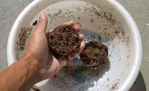 钓鱼需要用到哪些渔具,新手必知小常识