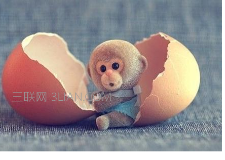属猴的人2018年运势运程如何