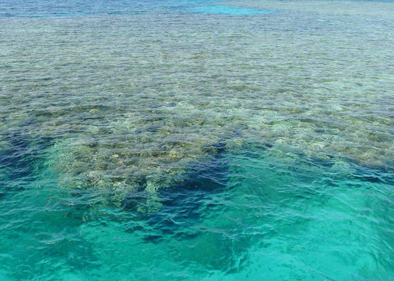 海水为什么是咸的，可以喝吗