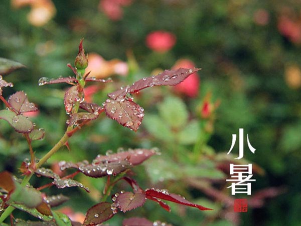 【7月有哪些节日，7月份的节日大全】