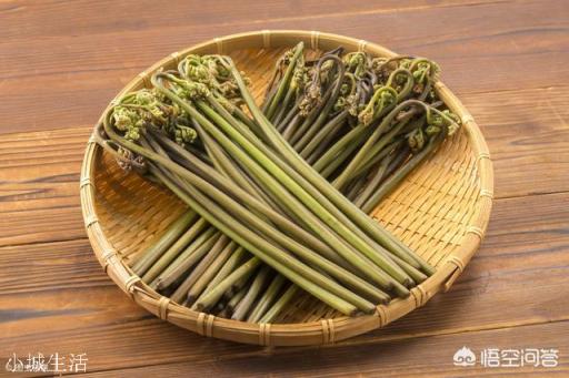农村山上的野生蕨菜到底能不能吃？
