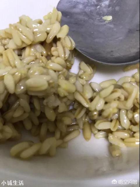 西北特产都有哪些?