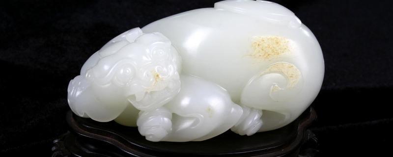 玉髓能養活嗎