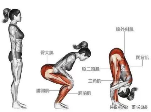 男人該怎樣健身鍛煉才能練出翹臀？