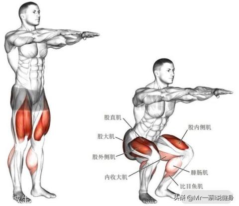 男人該怎樣健身鍛煉才能練出翹臀？