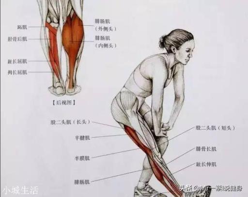 男人該怎樣健身鍛煉才能練出翹臀？