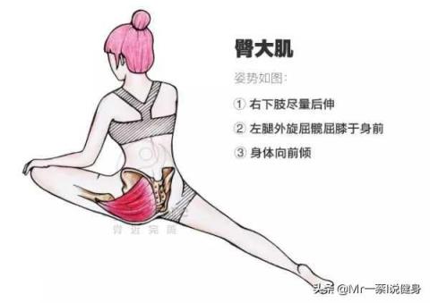 男人該怎樣健身鍛煉才能練出翹臀？