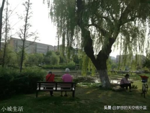 在農(nóng)村做專注于老人服務(wù)的事業(yè)有前途嗎？