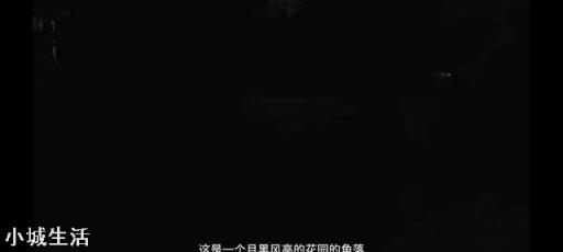为什么现在用照相机的人越来越少了？
