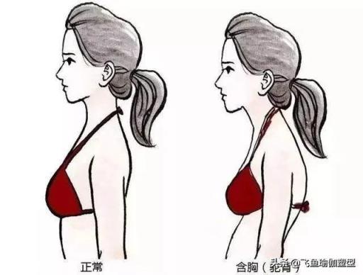 想健身，却不知如何下手！普通人该怎样有效健身？