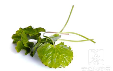 嘌呤核苷酸循环是什么意思?陈丽蓉为大家揭秘