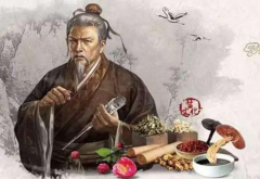 榆花的功效与作用