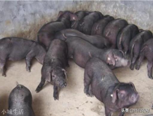 农业众筹前应该做些什么?