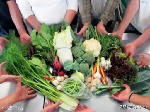 农业众筹前应该做些什么?