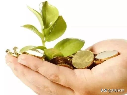 农业众筹前应该做些什么?