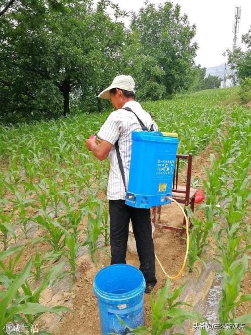 农村老人去世，以前乡亲都去帮忙，现在没人帮忙了，以后怎么办？