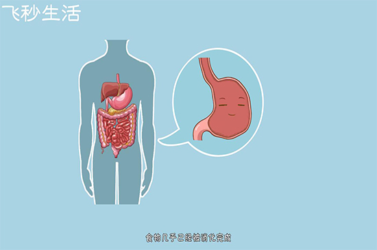 饭后多久可以运动