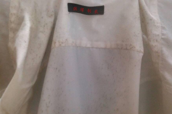 长霉点的衣服怎么洗