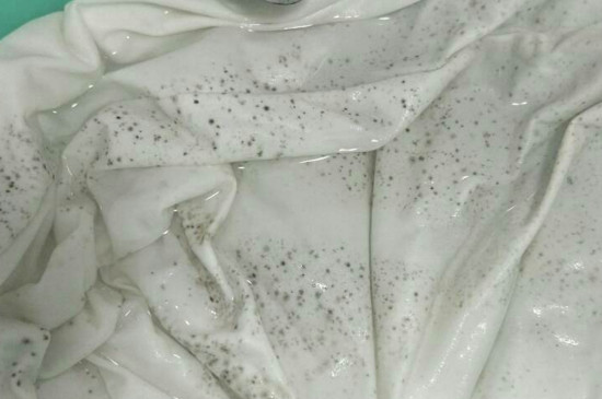长霉点的衣服怎么洗