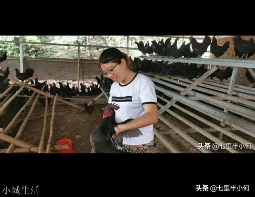 传统养殖是不是应该放弃?