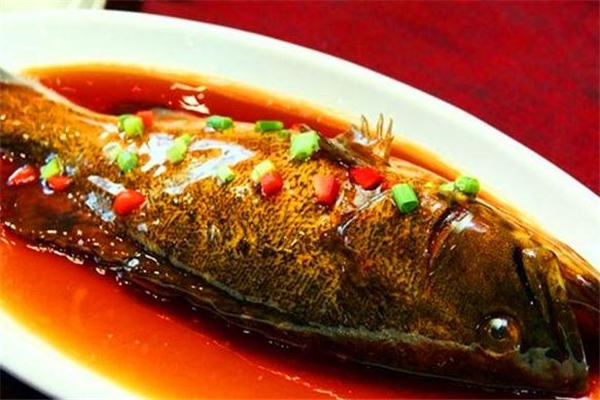石斑鱼怎么挑选 红烧石斑鱼的窍门