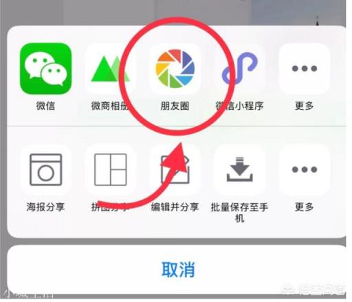 为什么越来越多的成年人消失在朋友圈？