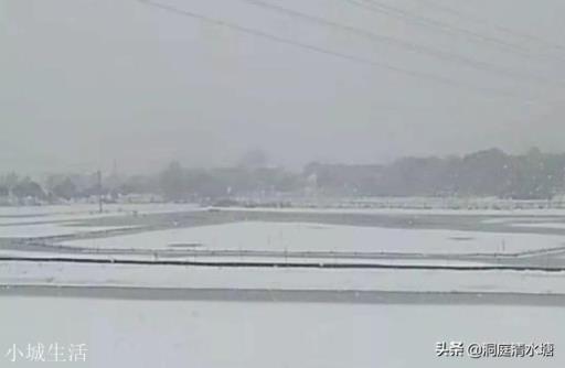 下雪天小龙虾会冻死吗？如何管理？