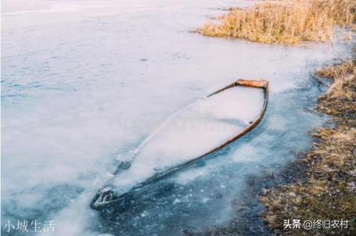 下雪天小龙虾会冻死吗？如何管理？