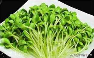 肉炒黄豆芽，豆芽用焯水么？为什么？