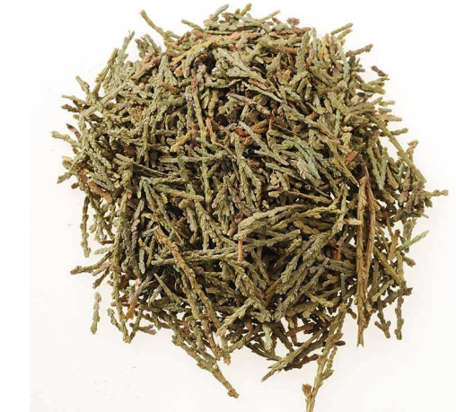 侧柏叶的功效与作用及食用方法