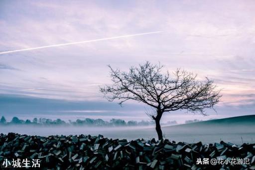 老年人如何自由行？