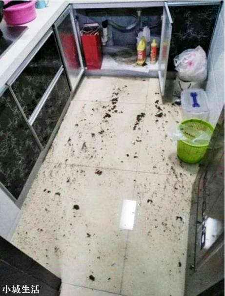 买了小区一楼的感受是怎样的？