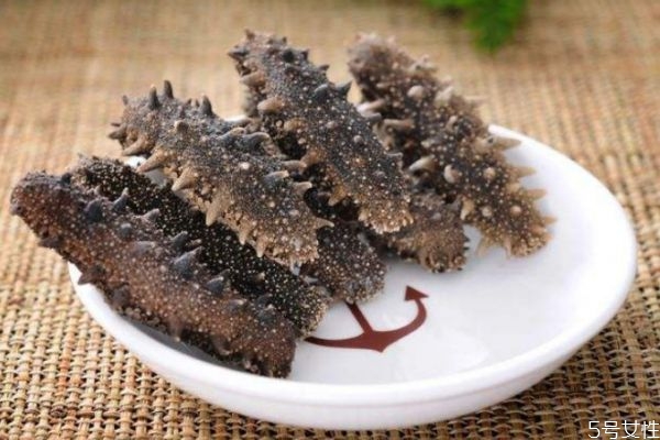 海参怎么吃最好 吃海参有什么禁忌