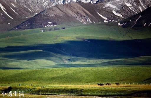 为什么很多自驾游的都是去新疆西藏,却很少人想去内蒙古草原呢?