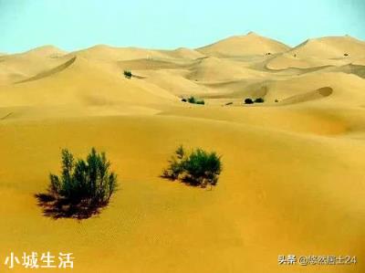 为什么很多自驾游的都是去新疆西藏,却很少人想去内蒙古草原呢?