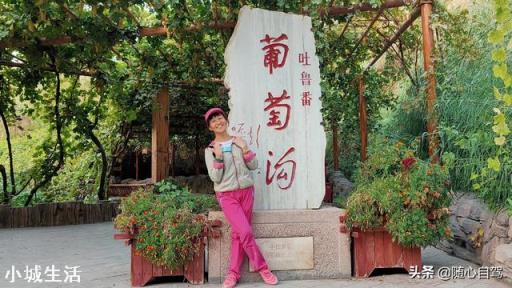 为什么很多自驾游的都是去新疆西藏,却很少人想去内蒙古草原呢?