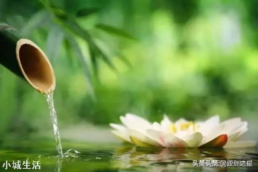 去哪里旅游最好？
