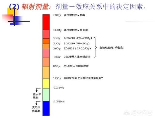 一枚钴弹真的能消灭全人类吗？什么是钴弹？