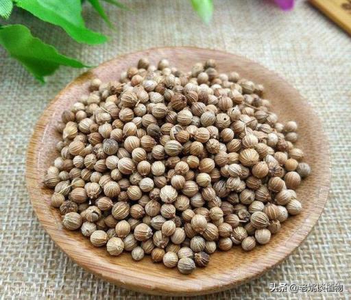 香菜为什么叫盐碎？
