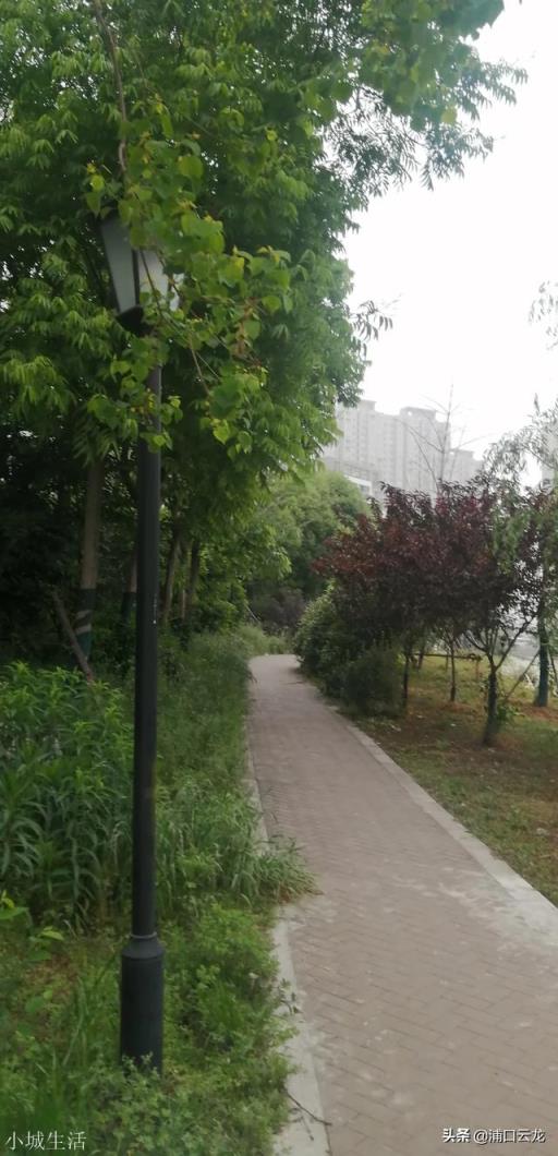 为什么我毛笔字写的好,钢笔字却很差?(怎么才能写好毛笔字)