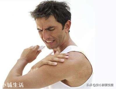 本人刚开始接触健身，手臂力量挺薄弱的，三头肌可以每天锻炼还是要隔一天锻炼好？