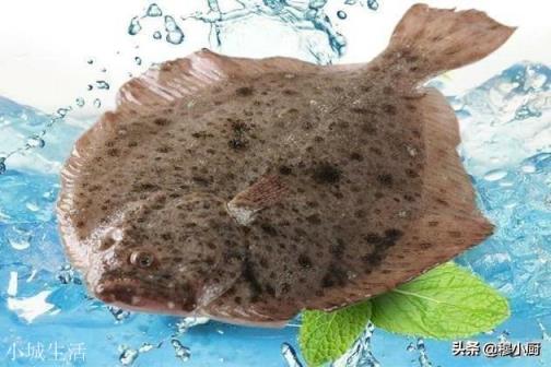 多宝鱼清蒸有点腥，怎么做才能去腥、更加美味呢？