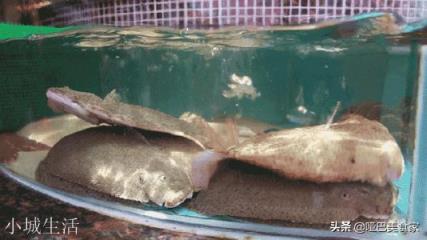 多宝鱼清蒸有点腥，怎么做才能去腥、更加美味呢？
