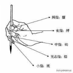 你怎样理解写书法时“腕动指不动”?写硬笔也有这个要求吗?(书法)