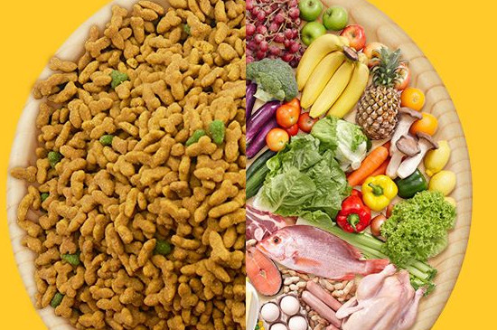 宠物饲料属于什么垃圾