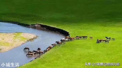 新冠肺炎疫情还没结束，有很多人开始自驾游，自驾游真的安全吗？