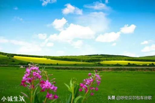 新冠肺炎疫情还没结束，有很多人开始自驾游，自驾游真的安全吗？