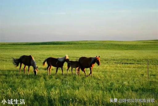 新冠肺炎疫情还没结束，有很多人开始自驾游，自驾游真的安全吗？