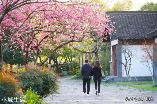 新冠肺炎疫情还没结束，有很多人开始自驾游，自驾游真的安全吗？