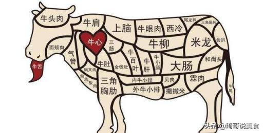 牛肉选择什么部位，才可以炖烂、不柴？为何？